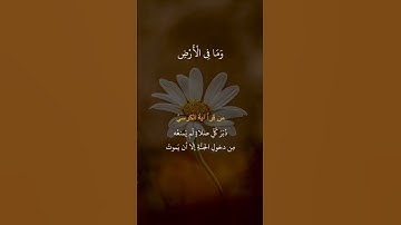اية الكرسي Ayat Al-Kursi | آيَةَ الْكُرْسِيِّ | القارئ سعد الغامدي