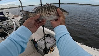 Unforgettable Day Inshore Fishing in Jacksonville Florida.