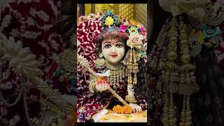 Krisna All Bhakta Brinda 🙏🏻❤️