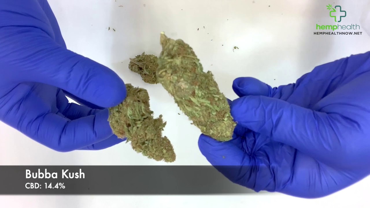 HempHealth  Bubba Kush  Review  04162020