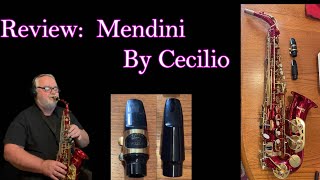 Review: Mendini by Cecilio #altosaxophone #review #music
