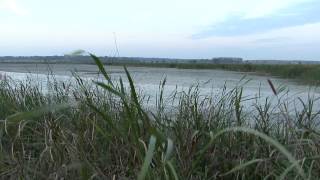 GP022012_Promo_C_30_Neighbors.mov