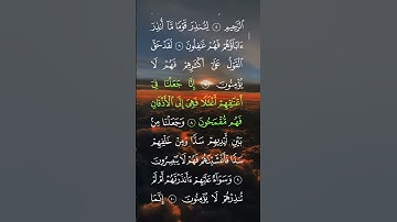 سورة( يس )..الشيخ ماهر المعيقلي ❤🍃