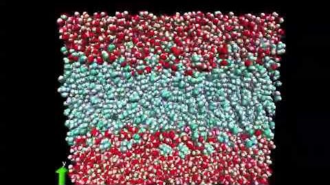 POPC lipid membrane simulation