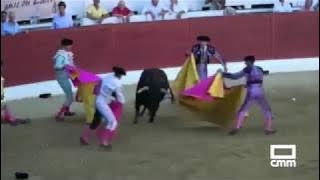 Bullfighter Iván Fandiño dies