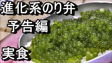食戟のソーマ 進化系のり弁 前編 再現 実写化 作り方 レシピ