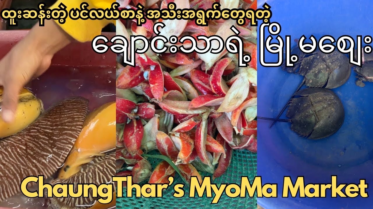 ChaungThar MyoMa Market (ချောင်းသာမြို့မစျေး)