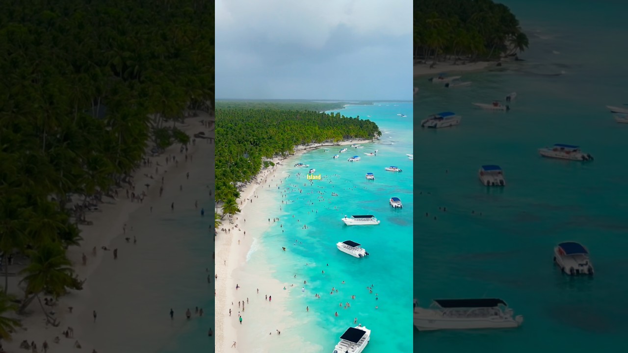Saona Island Day Trip 🇩🇴 Is It Worth It?