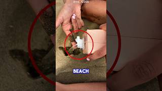 She Used Water and Sand to Create a Stunning Tattoo Effect