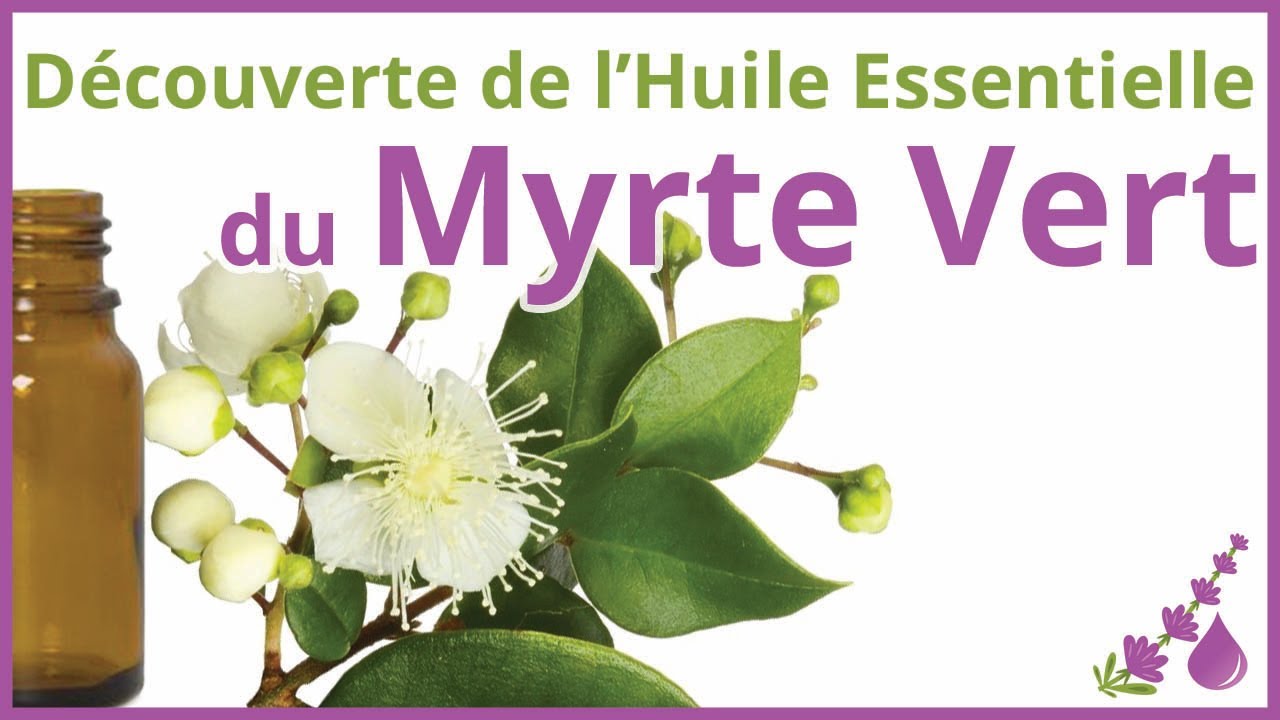 Le Myrte vert - l'huile essentielle de l’hiver - Dr Françoise Couic Marinier