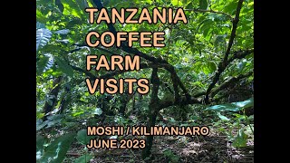 Tanzania Coffee - A Short Trip ( June 2023 )