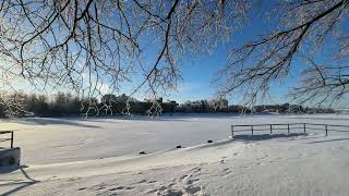 Елагин остров (ЦПКиО)