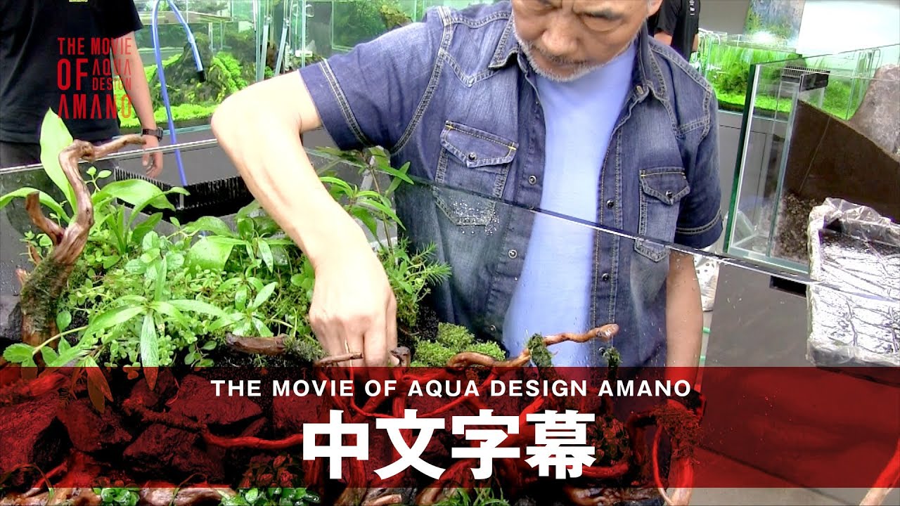 ADA - 关于ADA