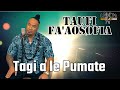 Taufi faaosofia  tagi a le pumate