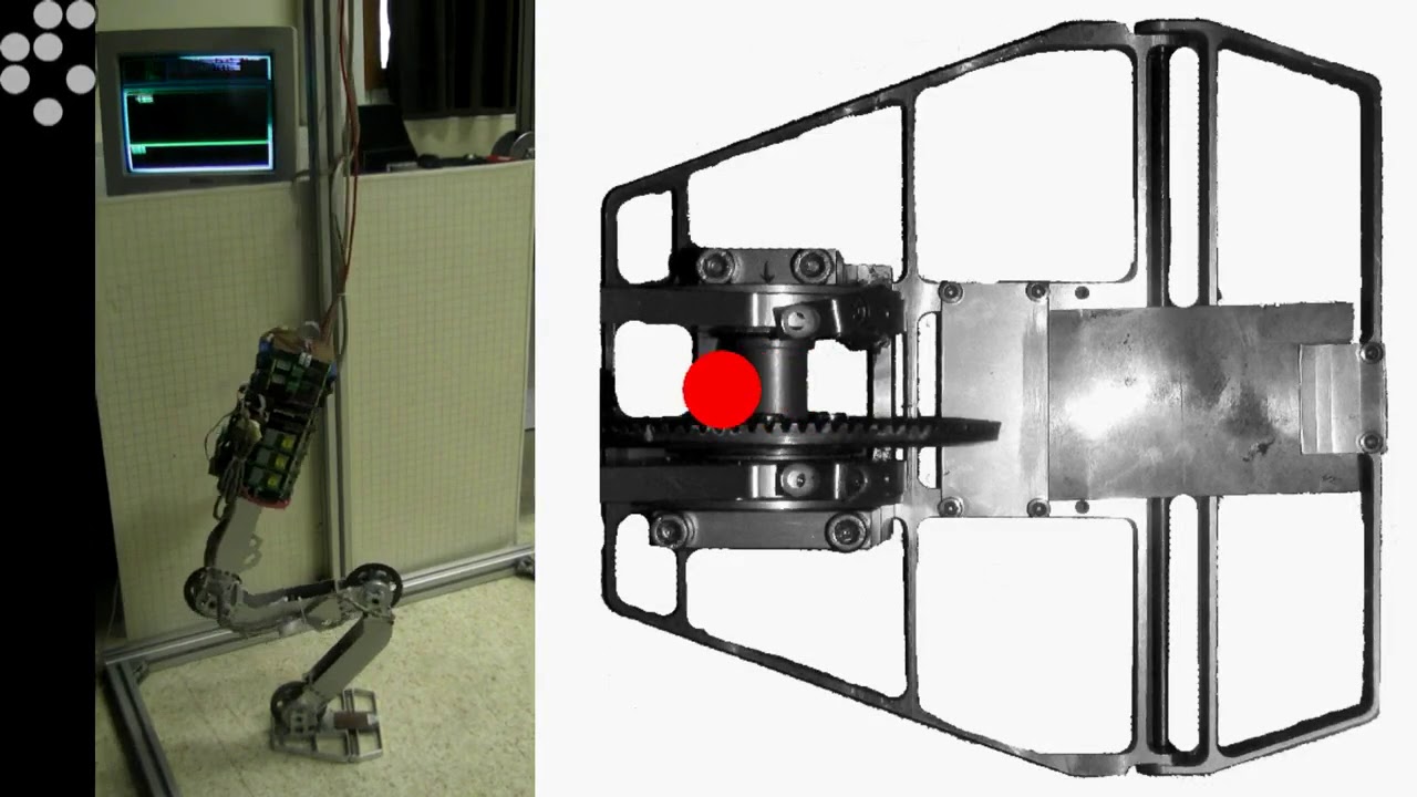 Constraining Movement Imitation With ReflexiveBehavior: Robot Squatting