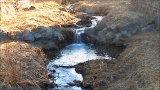 Meandering Stream
