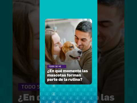 img-noticiero