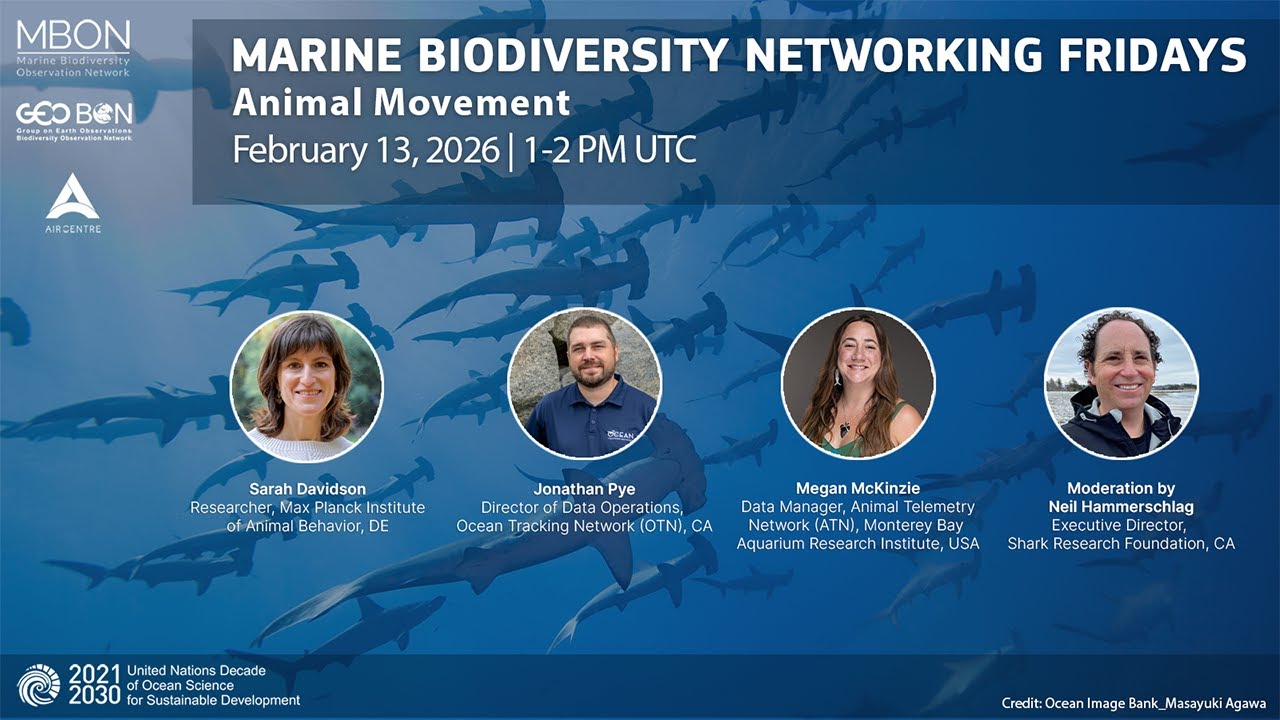 Marine Biodiversity Networking Friday on