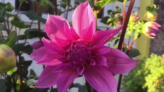 F60A0479 5Abf 4Aed 96D1 A8C9D9Cd1Cf8