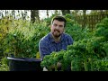 The Magic of Weeds in Water