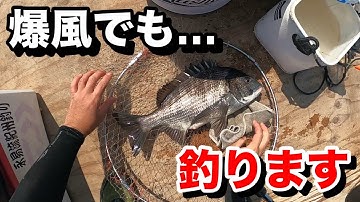 下手こいても…爆風でも…釣りますっ！【紀州釣り】【チヌ釣り】【筏釣り】
