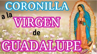 GUADALUPAN CHAPLET - CHAPLET TO THE MOST HOLY AND MIRACULOUS VIRGIN OF GUADALUPE screenshot 4