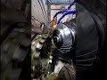 Spiral bevel crown pinion #youtubeshorts  #spiral #trending #gear #bevelgear #follow #shorts #viral