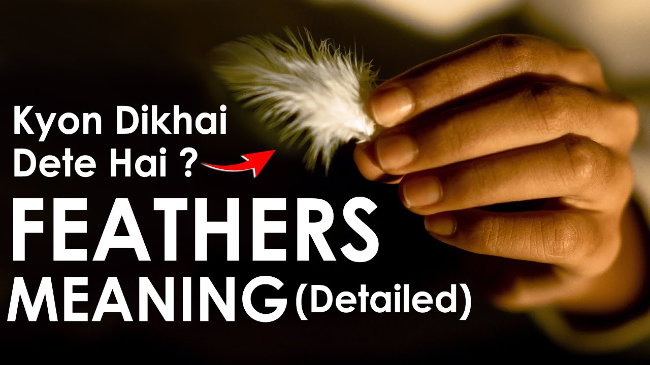 9 Spiritual Meanings of a White Feather