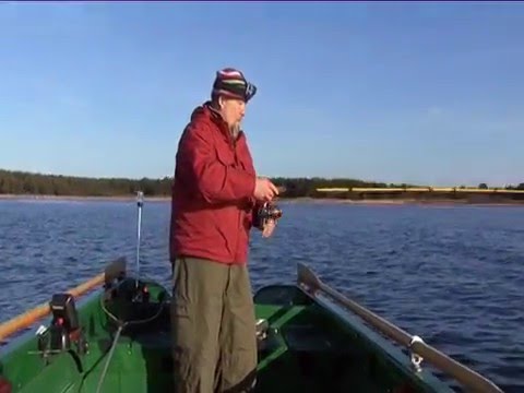 Video: Kalapüük Fort Myersi Ja Sanibeli Rannad - 8 Suurepärast Kohta, Mida Kontrollida