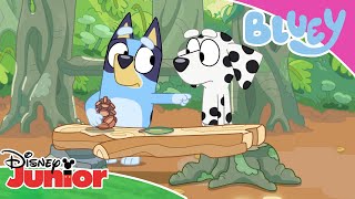 🏪 The Supermarket | Bluey | Disney Kids