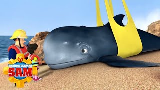 De walvis redden! | Brandweerman Sam | Kinderfilms