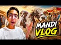 Full Mandi Tour 🎥 Bachha Prices & Bargaining | Village Pakistan