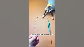 Phao câu cá ngày đêm cảm biến đổi màu #phaođiện #phaocaocaocap #phukiendicau #docau #cauca