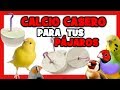 COMO HACER BLOQUES DE CALCIO CASEROS para CANARIOS y PAJAROS EXOTICOS 🐤