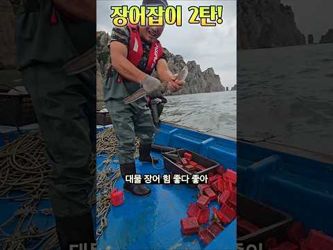 보양식으로 최고인 바다 장어~~~ #백령도, #백령도해녀와사위, #장어, #통발 thumbnail