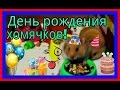 День рождения хомячков! Бельчатам 1 месяц!