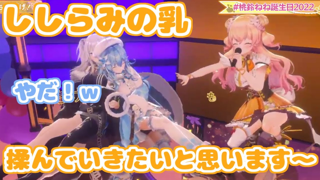 【ホロライブ切り抜き】誕生日ライブで同期の乳をもぎまくる桃鈴ねね【雪花ラミィ/獅白ぼたん/尾丸ポルカ】
