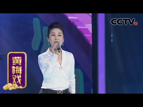 黄梅戏《女驸马》选段（演唱：赵媛媛）来自《宝贝亮相吧》| CCTV戏曲