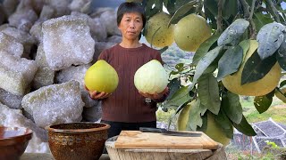 The grapefruits are ripe, so I picked them to make two kinds of grapefruit candies