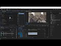 Day 22 How to Stabilize Shaky Footage in Premiere Pro Warp Stabilizer Tutorial