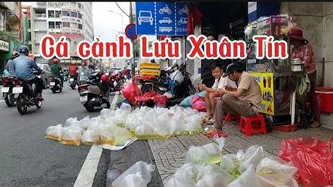 Chợ cá cảnh Lưu Xuân Tín ở q5