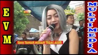 Download lagu Pecah seribu.  Elyn munchen