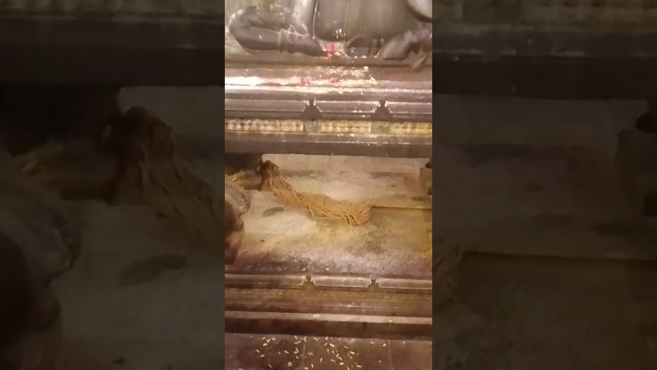 arunachalam Garba Gudi🙏 Nandeshwar darshanam 🙏ఓం అరుణాచలశివ 🙏🙏🙏 #minivlog #nature