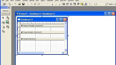 Creating Visual Basic 6 0  Reports