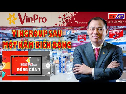 Video Vingroup của tỉ phú Phạm Nhật Vượng và một năm nhìn... - youtube