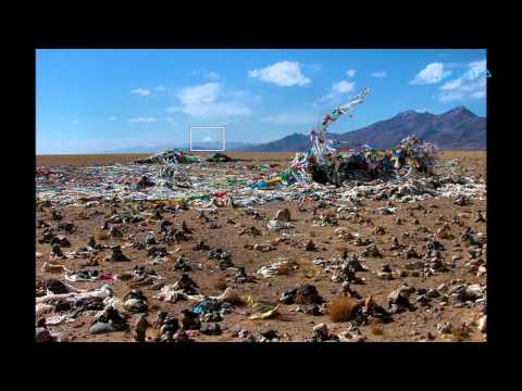 \"Timeline\" #16 - Rock the ქობულეთი