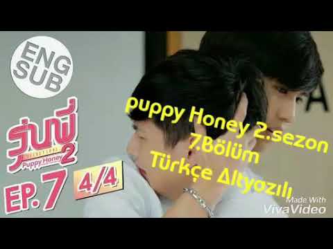 Puppy Honey 2.Sezon 7.Bölüm Türkçe Altyazılı