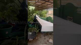 🔥DAY 61 || 🥹Gonna be a big loss?? WhatsApp-8667088204 @Uniquefishes_cbe #guppyfishfarming #orders
