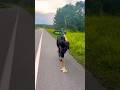 Mano al piso 🔥#bikeshorts #videoviral #shortvideo #suscribete #bicicleta