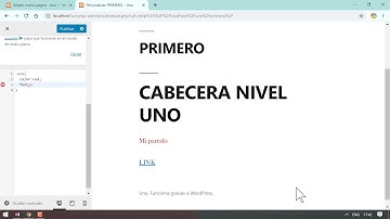 Cómo poner HTML y CSS en Wordpress 2019